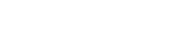 visit report