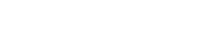 project report